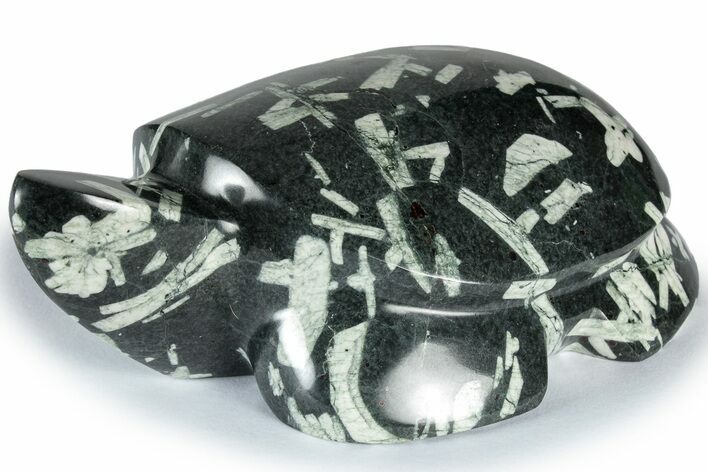 Polished Chinese Writing Rock Turtle - California #309062